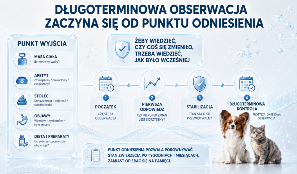 Długoterminowe wsparcie trawienia — jak mądrze prowadzić obserwację zwierzęcia?