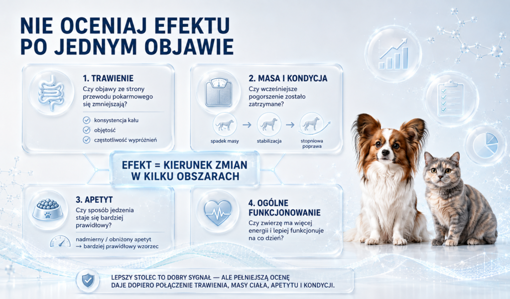 Jak obserwować, czy wsparcie trawienia przynosi efekty?