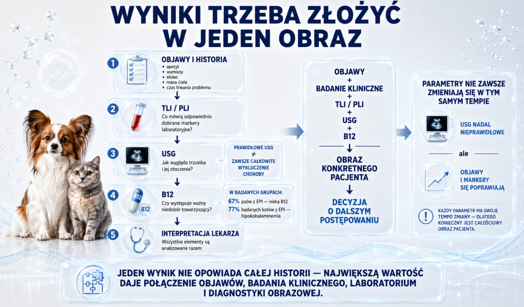 Badania trzustki u psa i kota 3