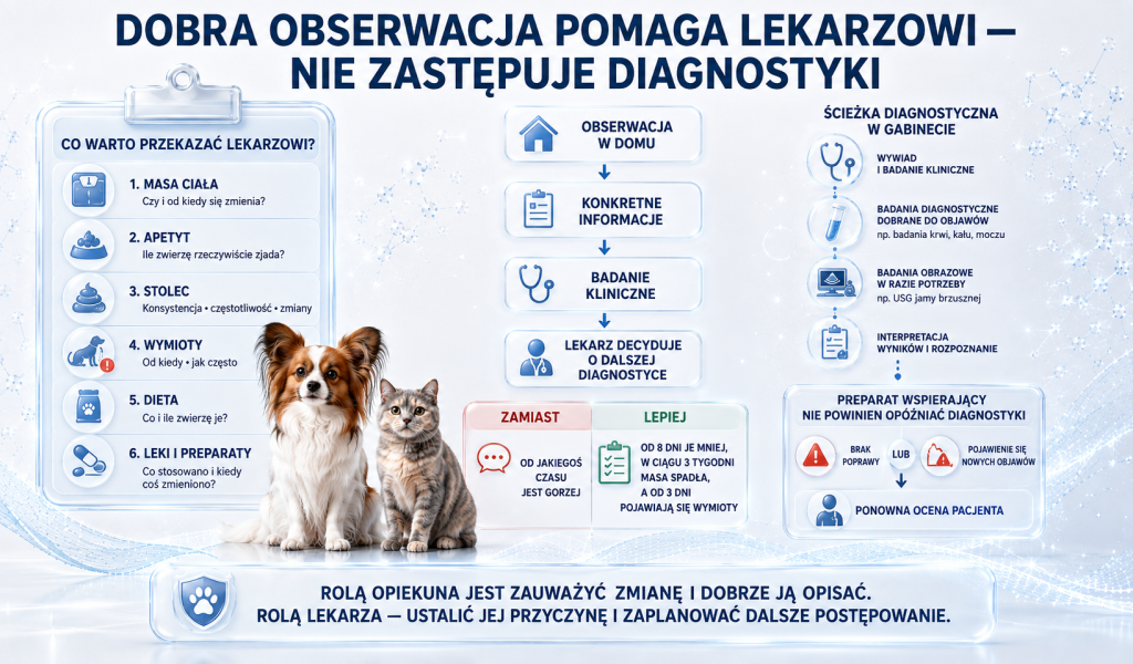 Kiedy problemy trawienne psa lub kota wymagają konsultacji weterynaryjnej 3