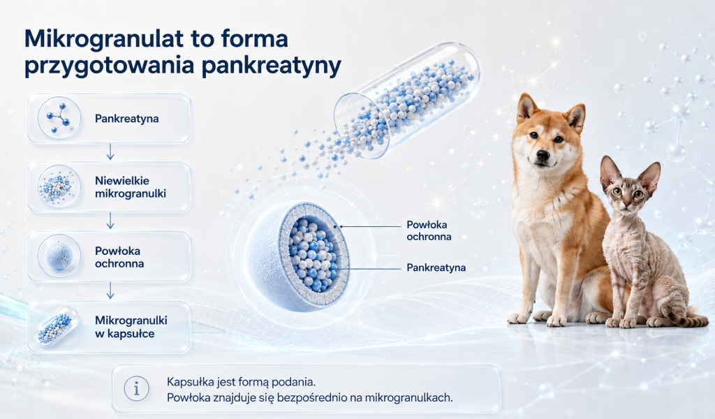 Mikrogranulat dojelitowy — czym jest i jak działa 1