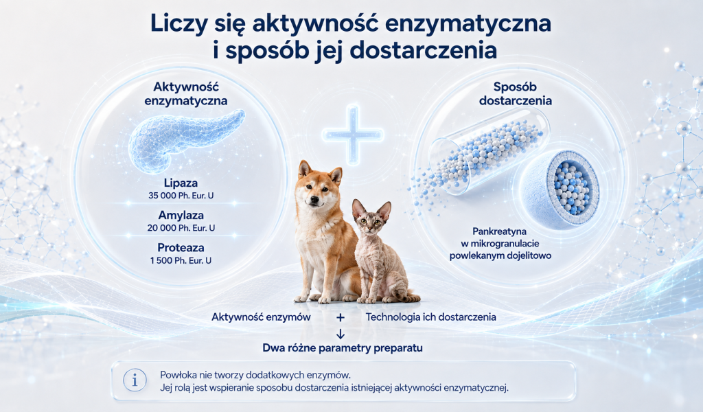 Mikrogranulat dojelitowy — czym jest i jak działa 3