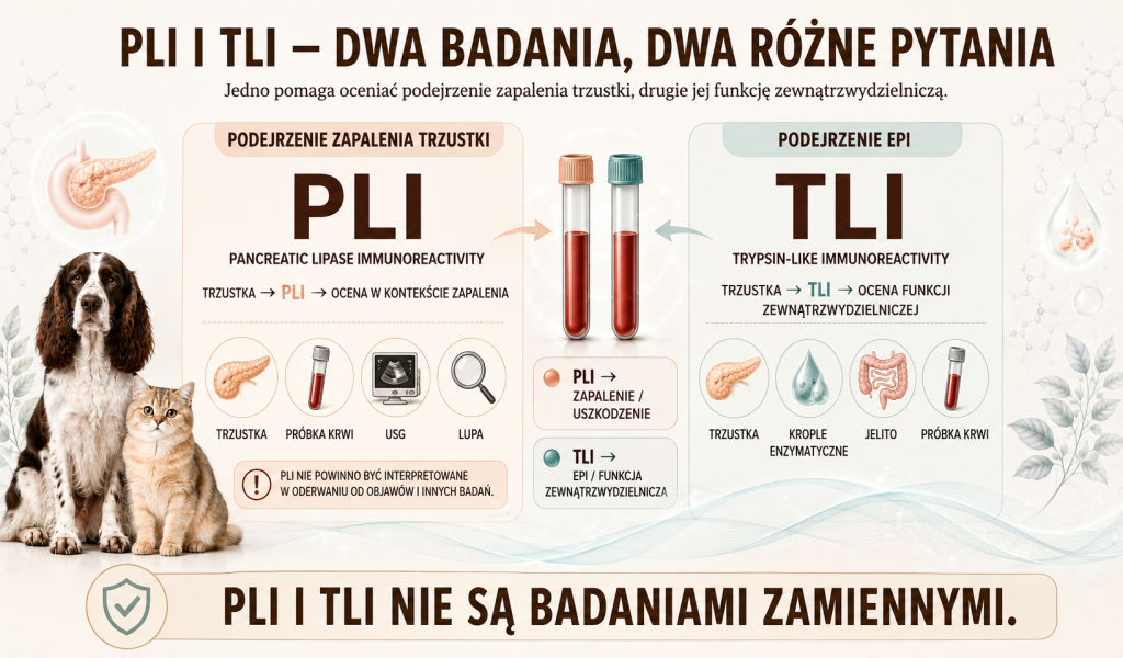 Zapalenie trzustki a zewnątrzwydzielnicza niewydolność trzustki 2