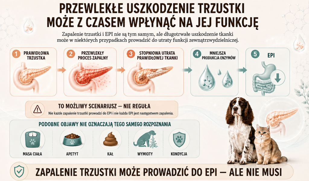 Zapalenie trzustki a zewnątrzwydzielnicza niewydolność trzustki 3